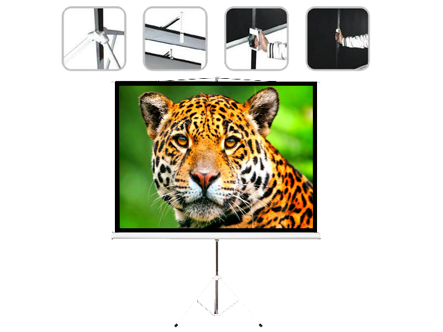 PANTALLA DE PROYECCION INTELAID 86