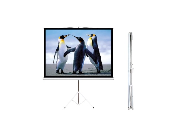 PANTALLA DE PROYECCION INTELAID 86